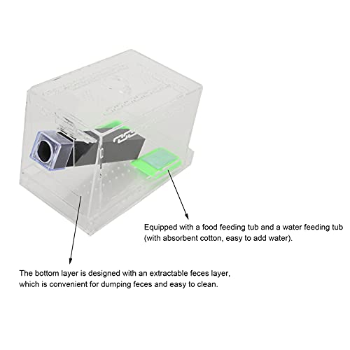 GLOGLOW Cricket Care Kit, with Feces Layer Acrylic Feeding Cricket Keeper with a Food Feeding Tub Care Kit Reptile Tank Box for Observation of Breeding