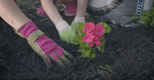 Midnite Black Premium Hardwood Mulch, 2 Cu. Ft. - color: Black Premium Hardwood
