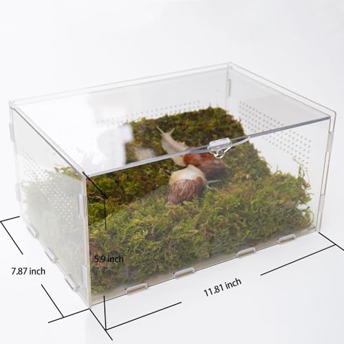 Snail Terrarium Kit with Climbing Accessories11.22 L x 7.87" W x 6" H Clear Small Animal House for Snails, Caterpillars& Small Critters – Includes 7" Climbing Wall and Substrate