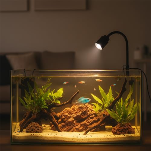 Mini Aquarium Spotlight, Clip-On Gooseneck Lamp, 15°-90° Zoom | Tri-Color White/Warm White/Warm Light, Dimmable 3W USB, 5.2 In Gooseneck, Fits Glass Up To 8mm - color: Black - NO Timer