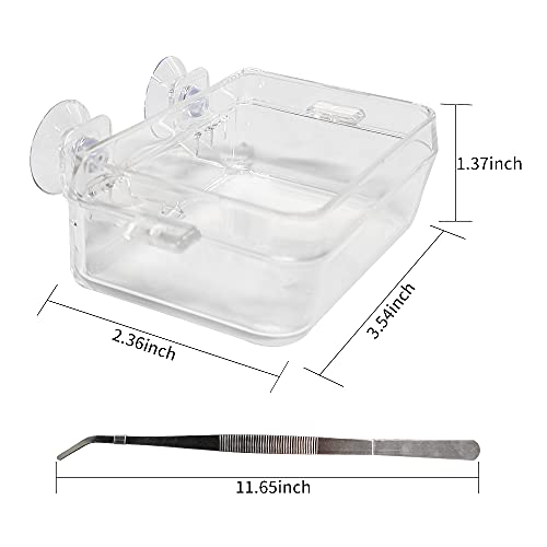 Chameleon Bowl and a Reptile Feeding Tongs 2pcs Feeder and Water Cups with Suction for Iguana Lizard Gecko Worm