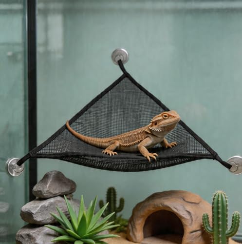 8 PCS Bearded Dragon Enrichment Toys Kit with Feeder Ball, Hanging Bell Balls, Suction Cups & Reptile Hammock - Interactive Foraging Feeder, Habitat Decor Accessories for Lizard Gecko Climbing Play