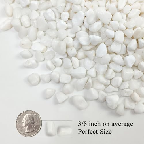 FANTIAN 5 lbs White Pebbles for Indoor Plants, 3/8 Inch Decorative White Gravel, Polished River Rocks for Potted Plants Vase Cactus Bird Bath and Outdoor Garden Landscaping - size: 5 pounds, style: White