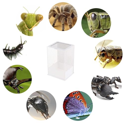 OMEM Reptile Breeding Box, Insect Incubator, for Orchid Mantis, African Phantom Mantis, Reptile Resting Habitat and Entertainment