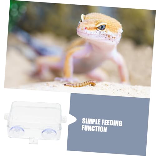 TOYANDONA Reptile Feeding Ledge Reptile Tongs Feeding Suction Cup Food Bowl Insect Water Feeder Bearded Dragon Food Dish