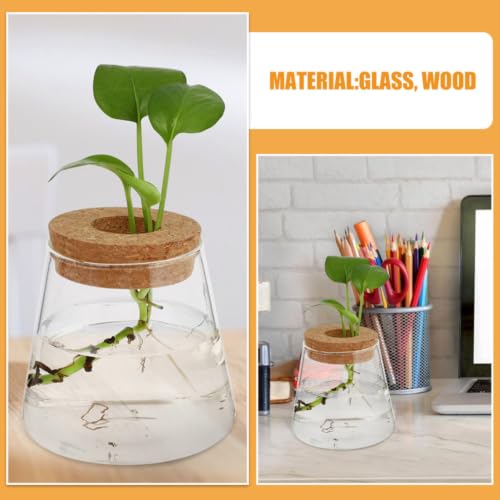 Hemobllo 3pcs Glass Propagation Vase with Wooden Lid for Plants and Flowers, Hydroponic Desktop Plant Terrarium Station Reduces Cleaning Problems, Stylish Home Decor for Office Corners