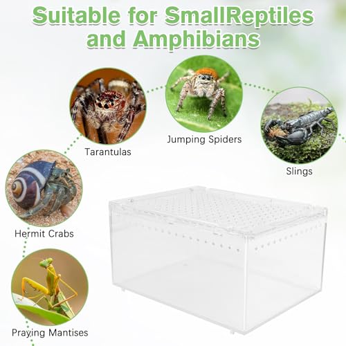Reptile Terrarium Enclosure 8"x6"x4" Acrylic Tarantula Breeding Box Magnetic Hermit Crab Habitat Transparent Jumping Spider Cage for Insect Snail Amphibians Sling Isopods - size: S: Standard Version