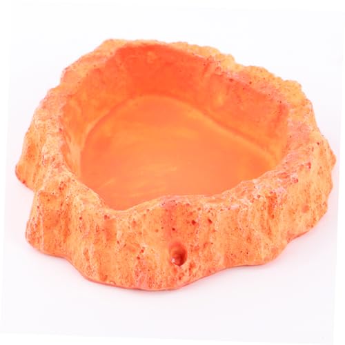 Toddmomy Reptile Water Bowl Lizard Accessories Reptile Food Feeder Bowl Skid-Resistant