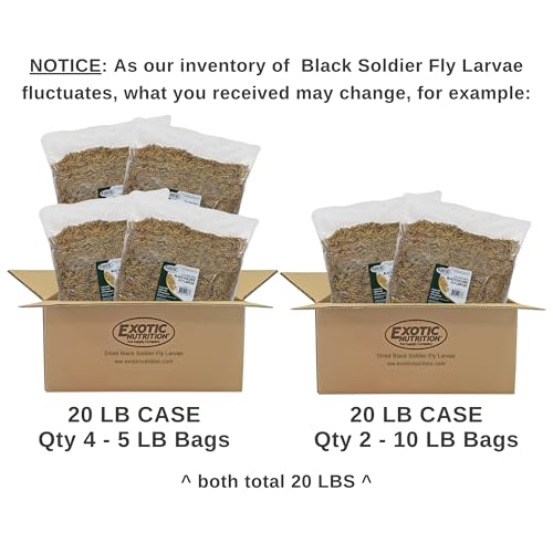 Exotic Nutrition 20 LB Bulk Dried Black Soldier Fly Larvae - High-Calcium Insect Treat - Chickens, Wild Birds, Bluebirds - size: 20 Pound (Pack of 1)