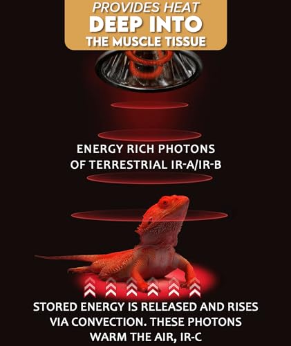 120W Deep Heat Infrared Projector Lamp for Reptiles, Emits both Infrared A & B Wavelengths, Reptiles Basking Light Heat Lamp Bulbs with Reflector for Bearded Dragons, Turtles, Snakes, Lizards, etc.