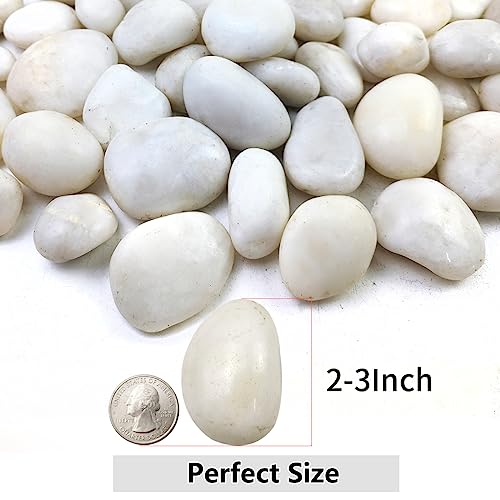5lbs White River Rocks, 2-3 Inch Natural Pebbles for Indoor Plants, High Polished Decorative Stones Vase Filler Fish Tank Aquariums Landscaping Garden Outdoor and Indoor DIY | High Polished Outdoor Decorative Stones Vase Filler Fish Tank Aquariums Landsca