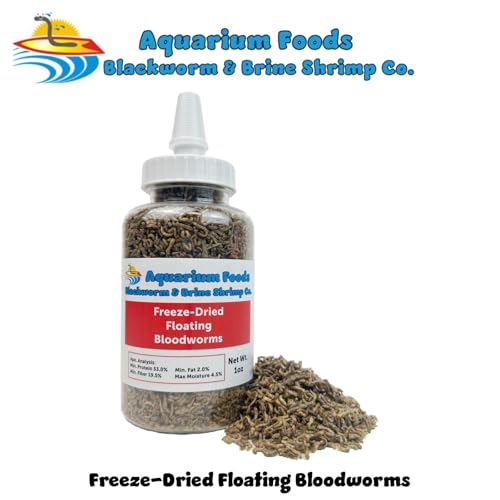 Freeze-Dried Bloodworms, Our Grade A Floating Bloodworms for All Freshwater Fish, Marines, Corals, Anemones, Baby Pond Fish…1oz Squeeze Bottle - size: 1 Ounce (Pack of 1)