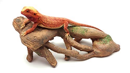 Gnarled Large Root, Brown, Reptile Habitat Accessory