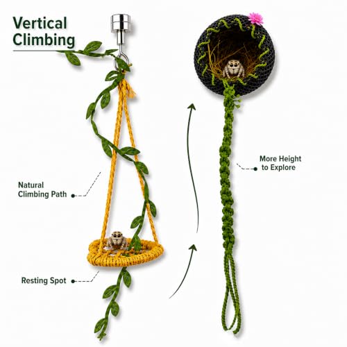 2 Pack Jumping Spider Accessories, Decor Set for Jumping Spider Enclosure | For Jumping spider hide,climb and rest - color: Yellow Rope