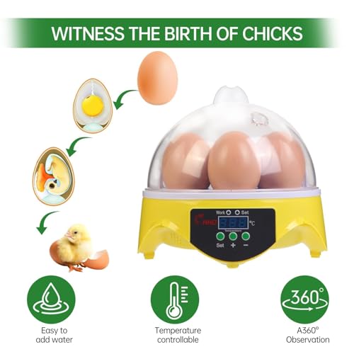 Gen 1-7 Egg Incubator for Kids & Beginners with 360° View, Manual Temperature Control for Chicken, Quail, and Parrot Eggs