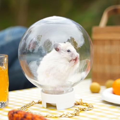 Hamster Transport Box Hand-held Pet Carrier Portable Transparent Small Pets Carrying Cage Travel Bag(Style 1)
