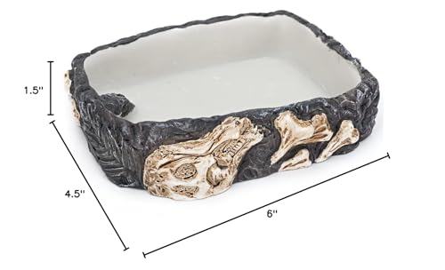 Penn-Plax Reptology Reptile Fossil Rock Food/Water Dish – Great for Bearded Dragons, Geckos, Chameleons, Snakes, Hermit Crabs, and Many More – Medium - size: Medium
