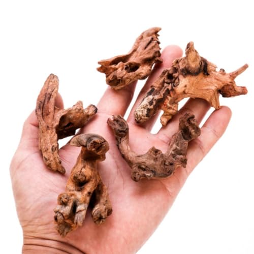 Natural Driftwood Tree Decoration for Aquarium, Fish Tank Plant Stump Ornament, Random Style(5-10cm)