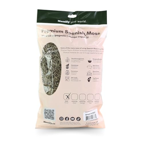 Mossify Spanish Moss, 150g 5.3Oz, Natural Dried Preserved | Plants, Indoor & Outdoor, Crafts, Terrariums, Floral Arrangements, Garden & Home Décor, Humidity Retaining - size: 150g (5.3Oz)