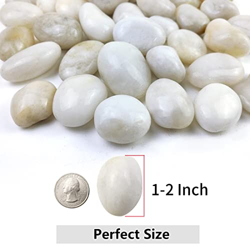 10lbs White River Rocks, 1-2 Inch Natural Pebbles for Indoor Plants, High Polished Decorative Stones Vase Filler Fish Tank Aquariums Landscaping Garden Outdoor and Indoor DIY - color: White, size: 10 Pounds