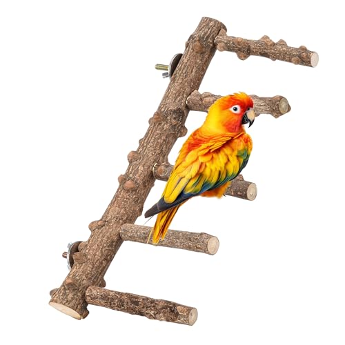Bird Ladder Perch for Cage Natural Wood Bird Parrot Perch Stand Chewing Toy | Parrot Perch Bridge Climbing Cage Accessories for Small Medium Animal