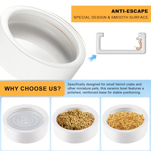 Eiito Reptile Food Bowl,Hermit Crab Lizard Gecko Ceramic Food Dish, 7 Compartments Anti-Turning Bearded Dragon Food & Water Bowl with Small Brush (White)