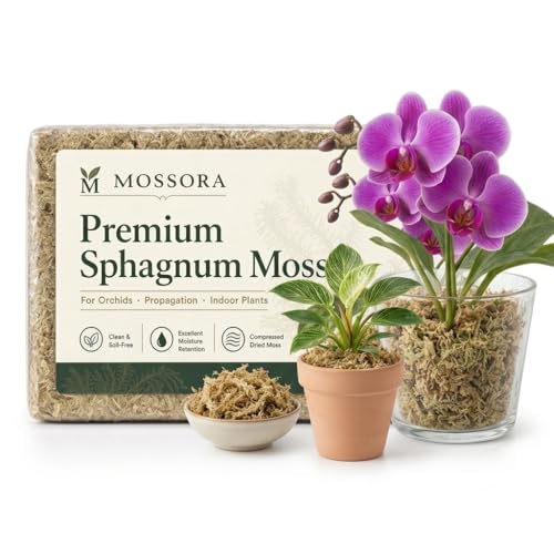 Premium Sphagnum Moss, Compressed Dried Brick, for Orchids, Plant Propagation, Carnivorous Plants and Reptile Bedding (6 QT(Appx.3.5oz)) - color: 6 QT(Appx.3.5oz)