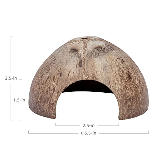 2 Pack Natural Coconut Reptile Hideouts, Lizard, Spider and Aquarium Fish Hide Cave (Smooth Surface) - color: Smooth Surface