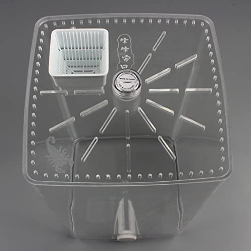 Acrylic Clear Reptile Terrarium Enclosure Cage, Reptile Breeding Box Lizard Spider Tank Climbing Pet Box with LED Light