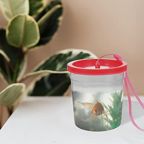 Sosoport 1pc Reptile Feeding Box for Insects and Mini Aquatic Pets Easy to Observe Habitat Strong and Wear- Design for Crickets and Reptiles - color: Transparent