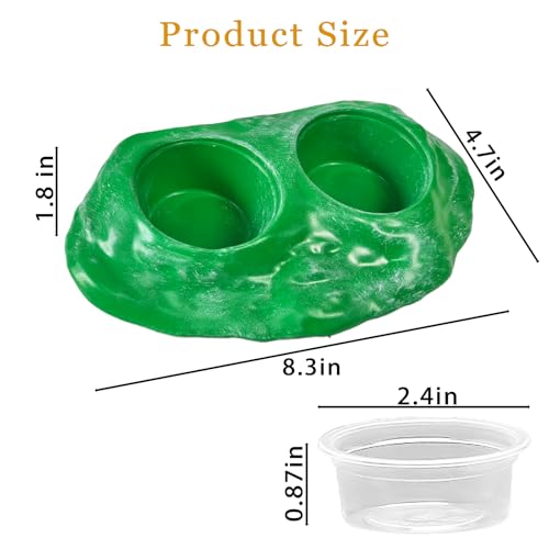 Tfwadmx Magnetic Reptile Feeder Ledge, Gecko Feeder Ledge with 4 Cups Reptile Feeding Bowl Terrarium Accessories for Geckos Lizards Chameleons Frog (Green) - color: Green