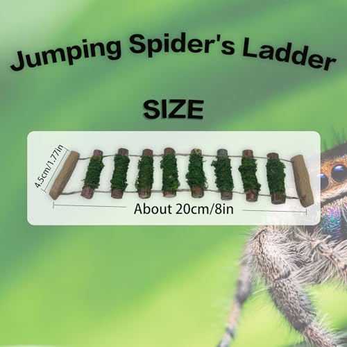 Jumping Spider Rope Bridge,A Solid Wood Climbing Suspension Bridge, a Jumping Spider Enclosure Accessory, Handmade, a Spider Jump Platform, Used As a Decorative Accessory for Small Reptile Enclosures