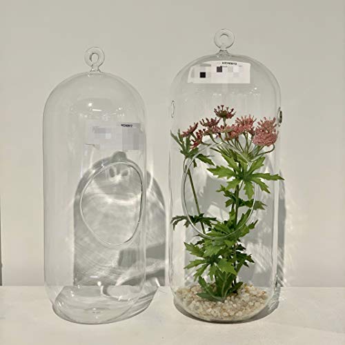 WGV Hanging Glass Plant Terrarium, Width 5", Height 12", Lantern DIY Air Succulent Planter Clear Tea Light Votive Candle Holder, Wedding Event Office Home Outdoor Decor, 1 Piece