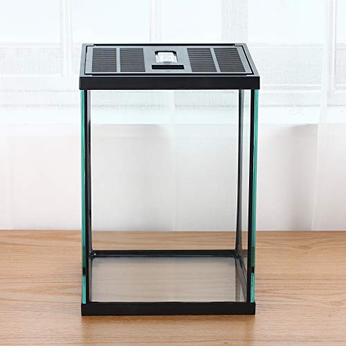Vertical Glass Terrarium for Mantis, 7.8 x 7.8 x 10.8 in | 2.84 US Gal Glass Insect Habitat Kit for Tarantula Sling, Snail and Small Insects, Animals Not Included - size: L7.8 x W7.8 x H10.8 inches