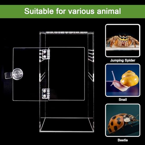 NANEEZOO Jumping Spider Enclosure with Front Opening Door, 6"x6"x12" Reptile Breeding Box Micro Habitat Terrarium for Small Tree Dwelling Reptiles, Spiders, Mantis & Invertebrates - size: 6x6x12 Inch Square