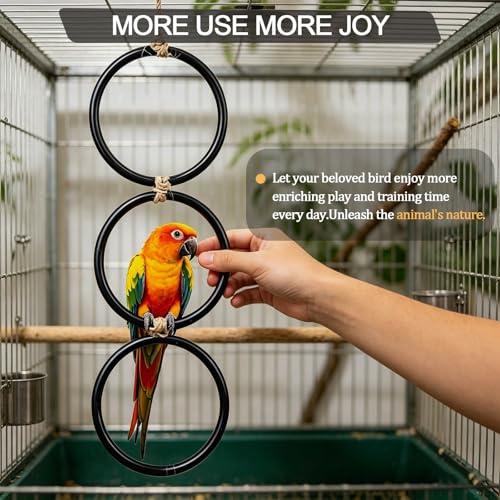 2 Pack Ball Python Tank Accessory, Snake Climbing Rings for Ball Python | Modular triple-link design, With a hook, expandable to 28 inches, 6+ exercise paths, rounded edges, reptile enrichment