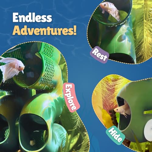 Betta Fish Tunnel Hideout | Aquarium Cave & Tunnel Decor for Betta Fish, Shrimp & Small Fish | Fish Tank Decoration, Betta Tank Accessory & Enrichment Toy (Green) - color: Green