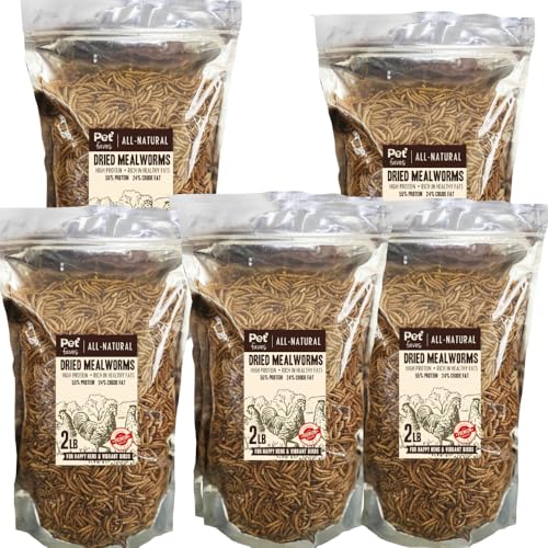 Pet Faves Dried Mealworms for Chickens, Birds, Hamster, Reptile and Turtle - Premium Non-GMO Treats with 55% Protein for Laying Hens - Organic Food for Wild Bird, Bluebirds, Robins, Cardinals (10LB) - size: 2 Pound (Pack of 5)