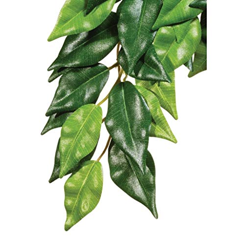 Hagen Exo Terra Silk Terrarium Plant, Medium, Ficus - color: Multi Color, size: Medium