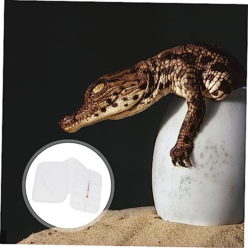 Abaodam 1Pc Reptile Egg Incubator with Compartments Durable Hatching Box for Snakes and Geckos Easy to Clean and Manage Temperature Gauge Included for Scientific Research