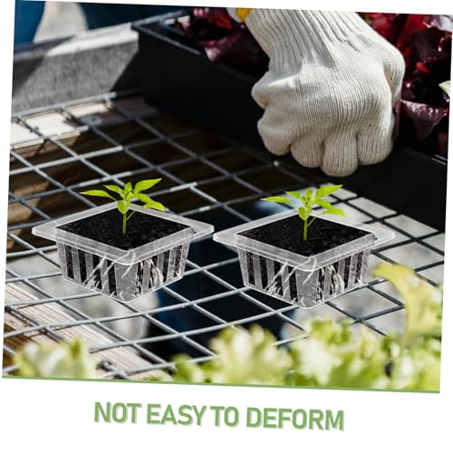 Toyvian 20pcs Transparent Square Hydroponic Mesh Pots for Planting Root Stabilizer Tool for Vegetables Flowers Herbs Material Efficient Drainage System