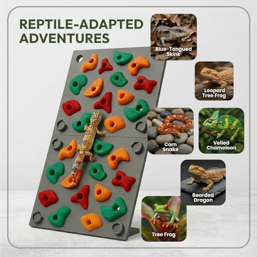 TIMSO Modular Reptile Climbing Wall & Hideout | Splicable Rock Board, Habitat Enrichment Decor, For Bearded Dragon, Leopard Geckos, Lizards, Snakes, Chameleons & Tree Frogs