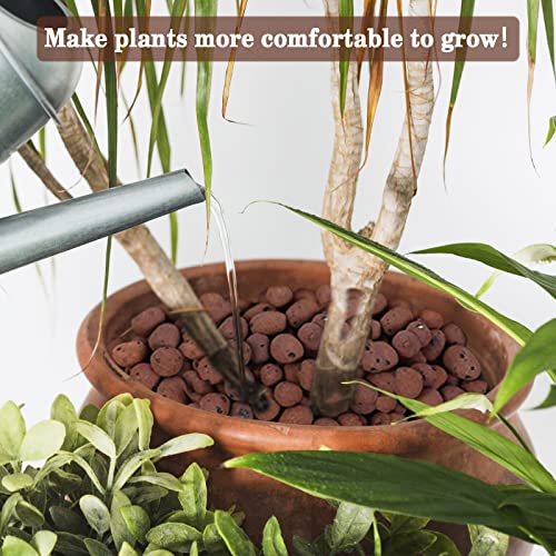 2LB Leca Clay Pebbles for Plants, 4mm-16mm Clay Balls for Hydroponic | Drainage, Reusable, Aeration, Moisture Retention, Lightweight, Natural Leca for Orchids, Succulents, Terrariums, Aquaponics - size: 2LB