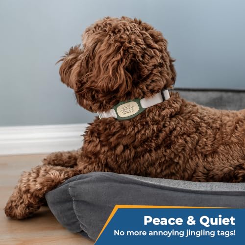 GoTags Lifestyle Silent Dog Tag, Personalized Engraved Silicone Pet ID Tags | Soundless Quiet Slide On Nameplate for Cat Collars with Name and Number, No More Jingling Tags (Matcha, Medium) - color: Lifestyle Matcha, size: Medium (Pack of 1)