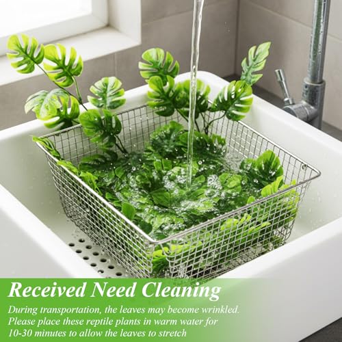 8 Pack Reptile Plants Terrarium Hanging Plant Vine Boston Climbing Terrarium Plant with Suction Cup for Bearded Dragons Lizard Crested Gecko Snake Crab Tank(Popular Series,Green) - style: Popular Series
