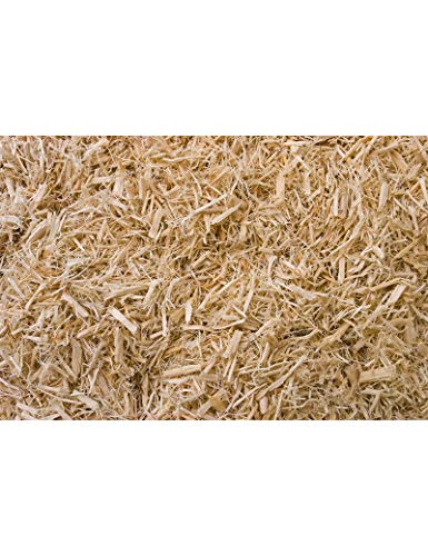 T-Rex Reptile Terrarium Substrate Bedding - Aspen Bed (8qt) - size: 8qt