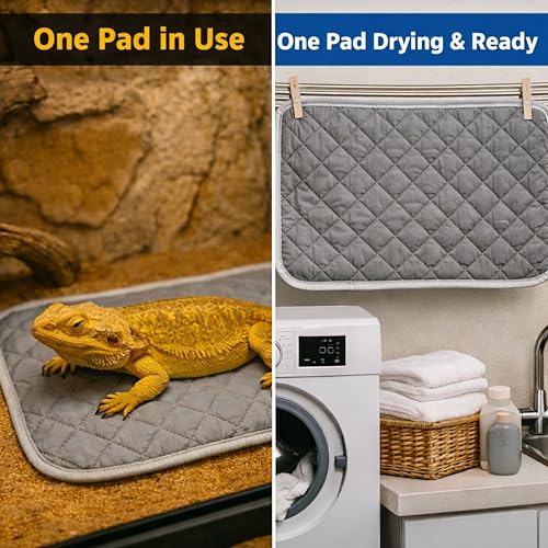 Bearded Dragon Diapers Bedding Mat Accessories, Adjustable Diaper, 2pcs Cleaning Mat for Picnic Travel, Bearded Dragon Diapers Accessories Reusable Pad, Reptile Carrier Essentials (2 Reusable Pad) - color: 2 Reusable Pad