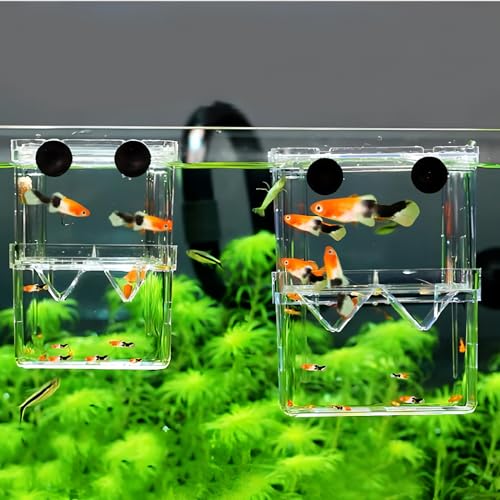 Petzilla in-Tank Aquarium Breeder Box for Fish Tank, Breeding Incubator for Small Fish Hatchery, Acrylic Divider for Shrimp Clownfish Aggressive Injured Fish (Large) - size: Large