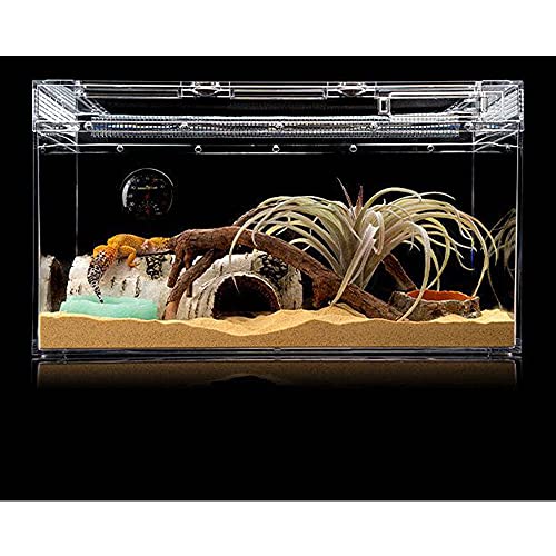 Reptile Water Dish,Resin Reptile Rock Food Feeder Bowl, Water and Food Bowl,Terrarium Decor for Leopard Gecko, Lizard,Spider,Turtle,Scorpion, Chameleon,Hermit Crabs (S, Green-Glow in Dark) - color: Green-glow in dark, size: S