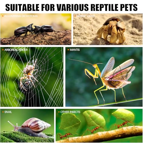 3x3x6 Acrylic Jumping Spider Enclosure - Pre-Assembled Habitat | Crystal-clear acrylic 360 view, top & side vents, front-opening door, upgraded handle, ideal for jumping spiders & mini pets - size: 3"3"6"